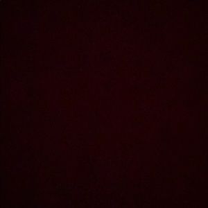 Meet your Posher, Bailey